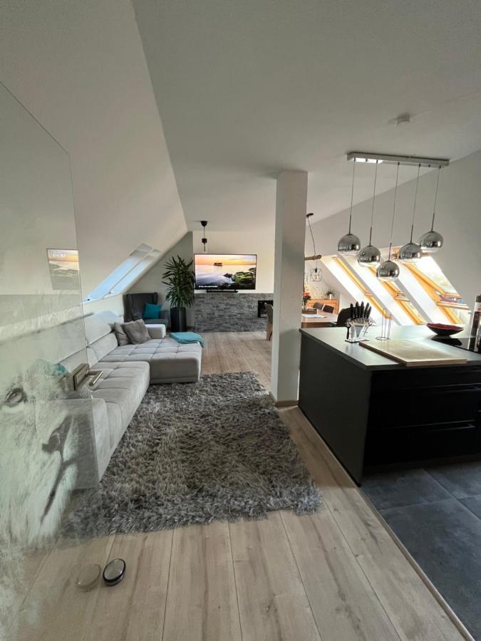105 Qm Neues Klimatisiertes Appartment Fuer Familien Privater Parkplatz Chemnitz Bagian luar foto