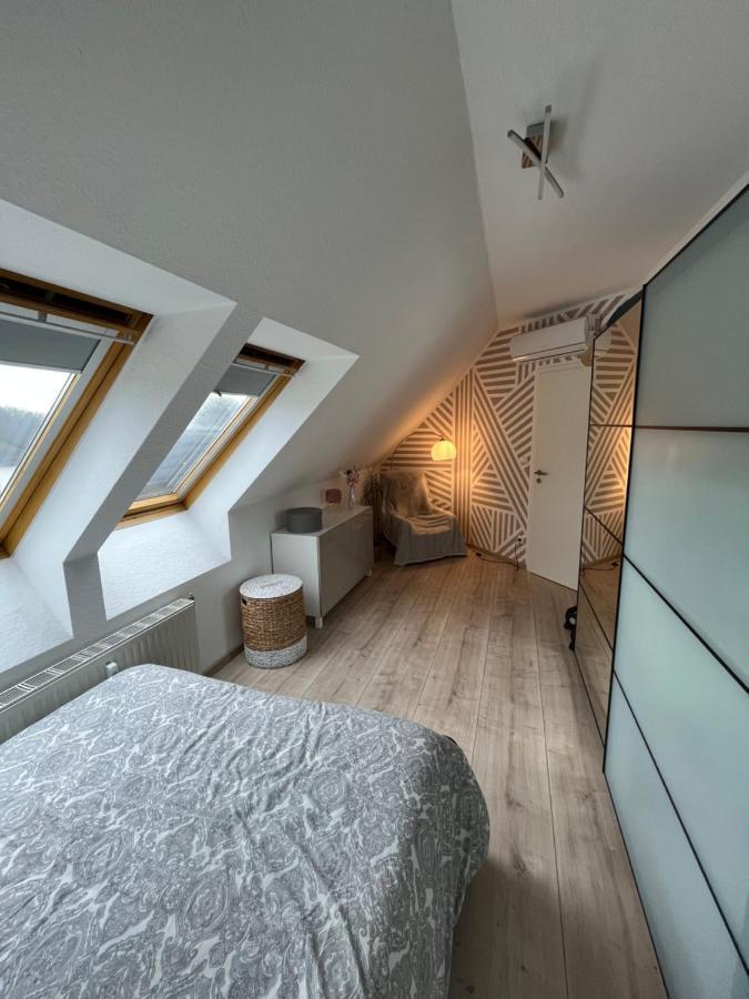 105 Qm Neues Klimatisiertes Appartment Fuer Familien Privater Parkplatz Chemnitz Bagian luar foto